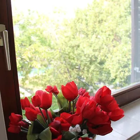 Lada Apartment *